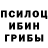 Галлюциногенные грибы Psilocybine cubensis Nyti Rewsd