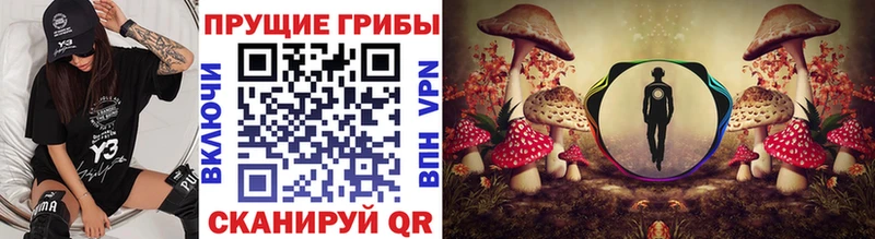 мега как зайти  купить  сайты  Балашов  Галлюциногенные грибы прущие грибы 